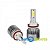 Купить лампи світлодіодні c6 h11 12-24v cob (2шт)